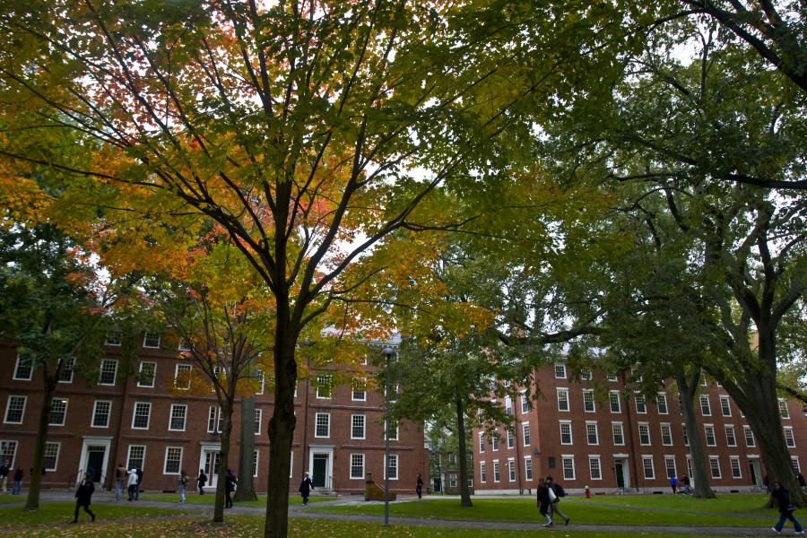 Photograph of red brick dorm buildings in Harvard Yard